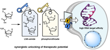 Synergistic unlocking of therapeutic potential